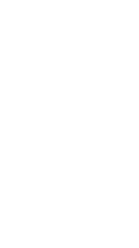 flow4.png