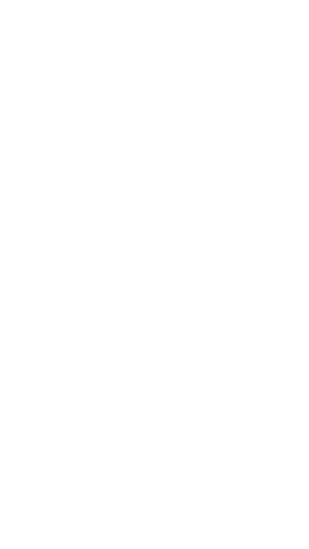 flow8.png